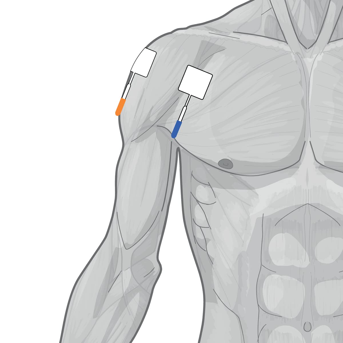 GLOBUS | Genesy 600, Elettrostimolatore a 4 Canali con 149 Programmi, Prodotto Professionale per Utenti Esigenti e Professionisti della Riabilitazione