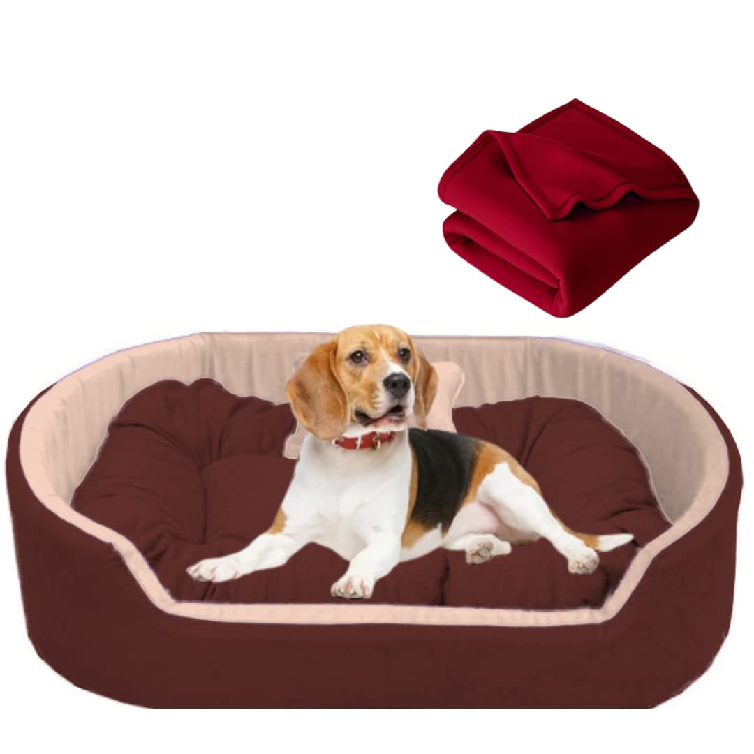 DRILLY Dog Bed with Blanket Washable Soft Reversible Dog Bed for Small | Medium | Large | Extra Large | XXL | 3XL | 4XL Size Dogs | Cats | Puppy | pet | Rabbit |Cushion Pillow (L)