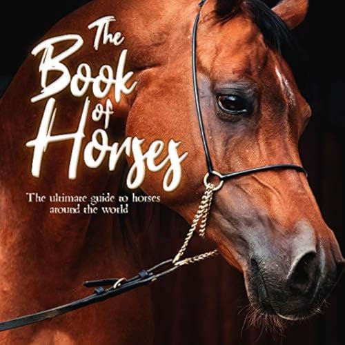 The Book of Horses: The Ultimate Guide to Horses Around the World ...