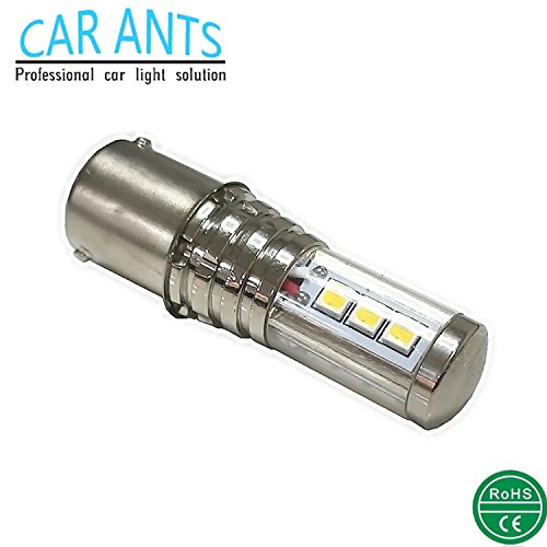 Car Ants Auto Lighting 12/24V Extremely Super
