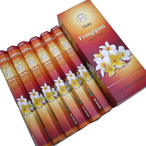 FLUTE(�t���[�g) �t�����W�p�j�� �X�e�B�b�N FRANGIPANI 6���Z�b�g