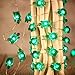 Impress Life Turtle String Lights, Green Decorative LED Silver Wire 10 ft 40 LEDs with Remote for Indoor, Covered Outdoor, Beach Party Decorations, Summer Holiday, Tent Wedding, Birthday, Bedroom