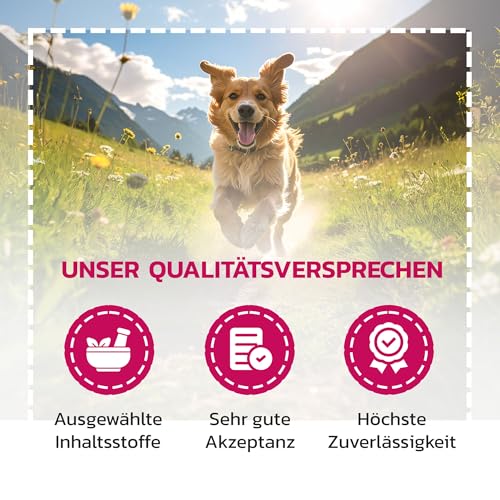 LiquidoCare Appetitanreger Hund 180 ml – Ergänzungsfuttermittel für Hunde – Hochkalorisches Tonikum mit Vitaminen & Mineralstoffen – Für schlecht fressende Hunde, leicht verdaulich & schmackhaft