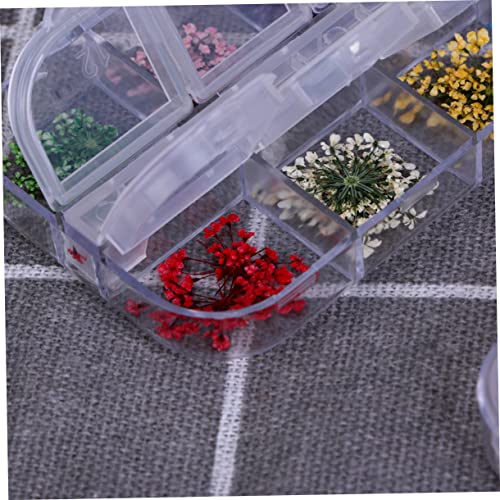FRCOLOR 3 Caixas Adesivos De Flores Secas Prensadas Naturais Acessórios De Resina De Flores Secas Fl
