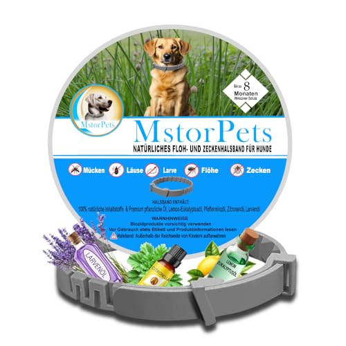 MstorPets | 100% Natürliches Flohhalsband ohne Chemie | Zeckenhalsband klein, & groß | Wasserdicht Größenverstellbar bis 8 Monate Zeckenschutz für Hunde | Anti Floh Hunde Katze [Grau]