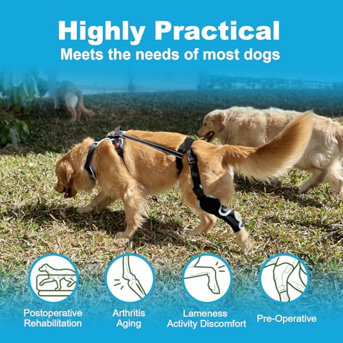 Image of IEhotti Dog Knee Brace for Torn Acl Hind Leg, Dog Leg Braces for Back Leg with Extra Dog Harness, Dog Hip Brace for Cruciate Ligament Injury, Relieves Pain and Better Recovery, Small