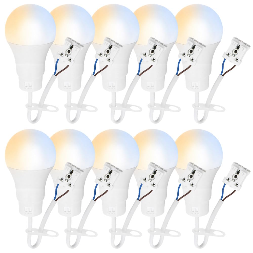 NCC-Licht 10 x lampa LED do renowacji 10 W, CCT regulowana barwa światła, wytrzymała obudowa z żarówką i zaciskiem wtykowym, oświetlenie robocze na strych i piwnicy