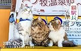 猫駅長と会津の風景 Vol8: 冬のやさしい時間と 猫駅長たちのいる風景 (2026 1 to 2026 2) 猫駅長写真集シリーズ (しれるフォトスタジオ)