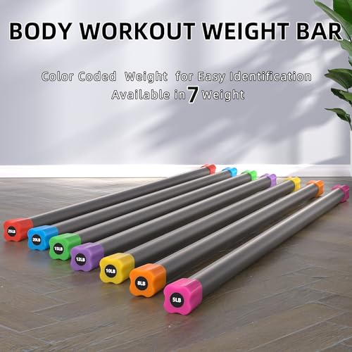 Fitvids Total Body Workout Weighted Bar Weighted Workout Bar Weighted Exercise Bar, Set of 3: 10, 15, 20LBS