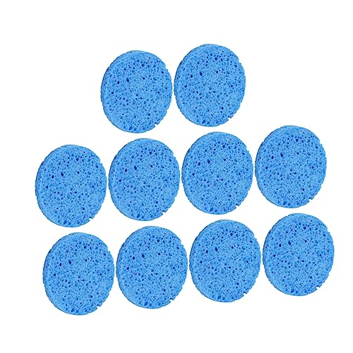 MUSISALY CNƂpt tFCVX|W X|W 10 ؍ރpv qΉ CNp XLPA V[