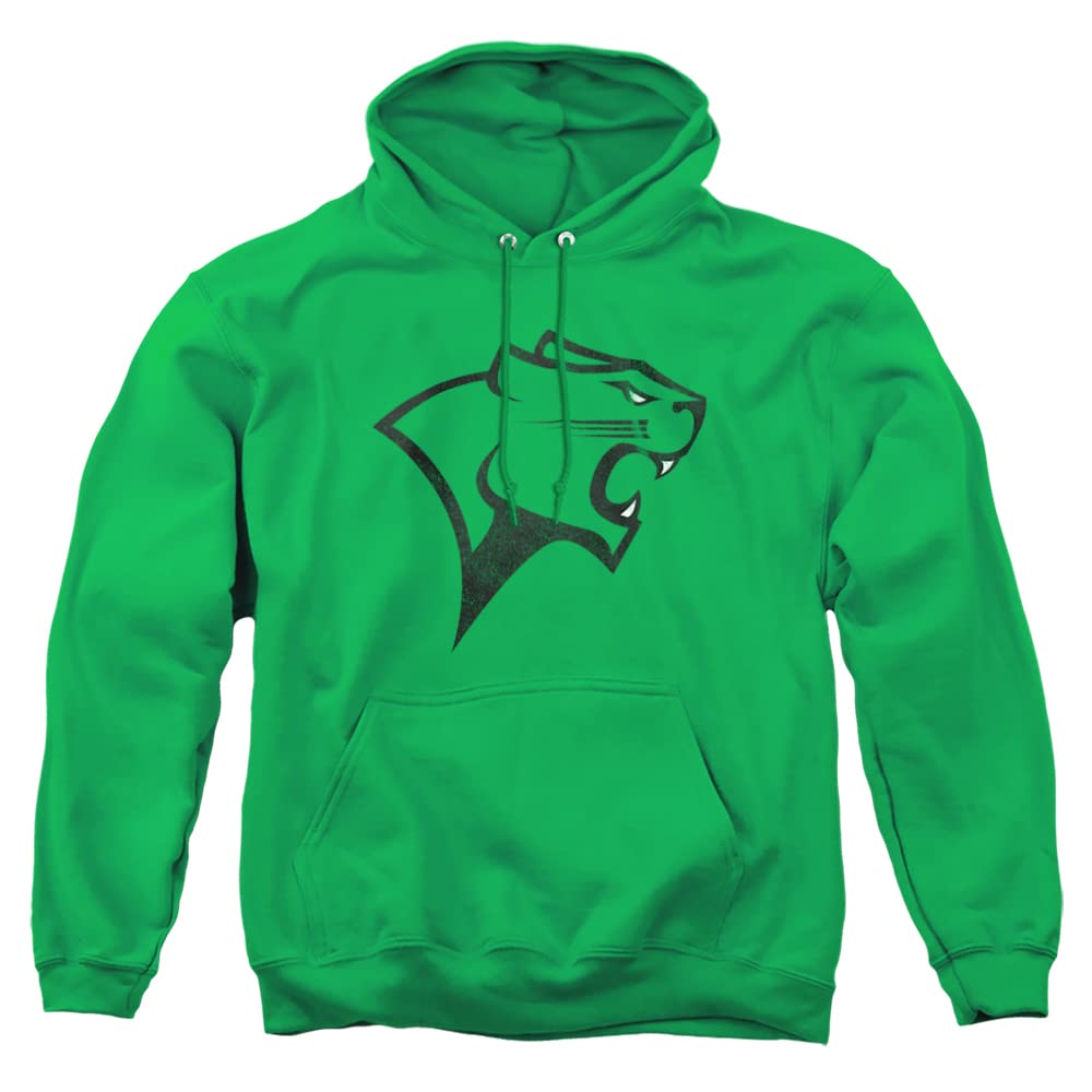 LOGOVISION Official Collegiate Distressed Primary Logo Adult Pullover Hoodie Collection — view 6