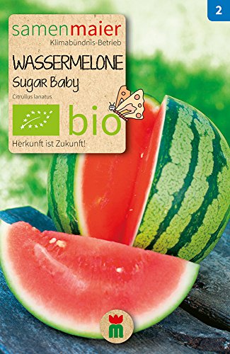 BIO Wassermelone Sugar Baby Samen - sehr frühe Sorte, 1,5 – 2,5 kg schwer - ideal für Frühbeet und Töpfe - Inhalt reicht für ca. 7 Pflanzen - Samen Maier