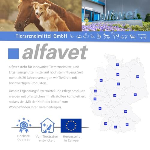 Alfavet RodiCare Appetit für schlecht fressende Nager, Ergänzungsfuttermittel für Kaninchen, Meerschweinchen und Kleinnager, 15 ml mit Dosierspritze