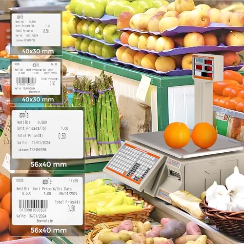 Báscula Comercial Bonvoisin con Impresora y Display miniatura 4