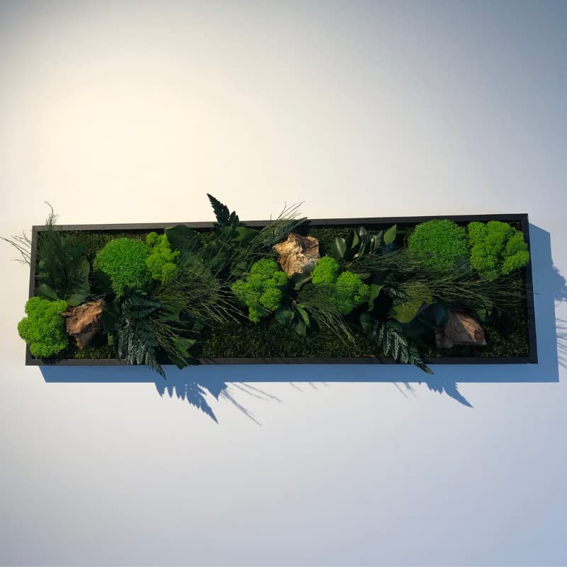 Tableau végétal Mural stabilisé 70cm Noir