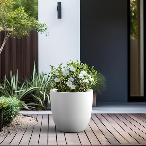 Image of Kante 18 inch Dia Round Concrete Planter, Large Bowl Pot, White