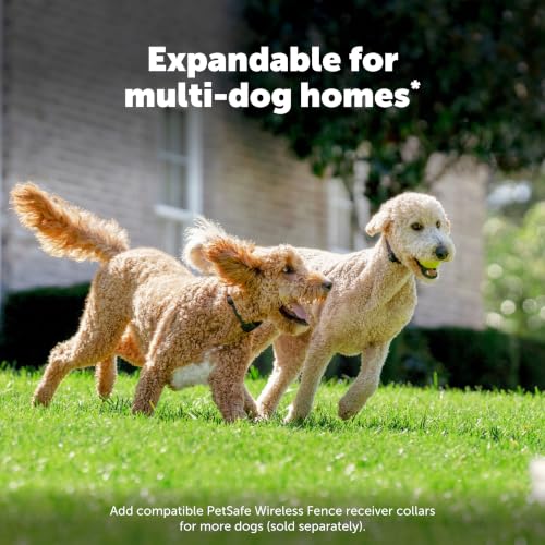PetSafe Stay & Play Compact Wireless Dog Fence, Up to 3/4 Acre - image 9