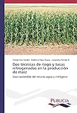 VDM Verlag