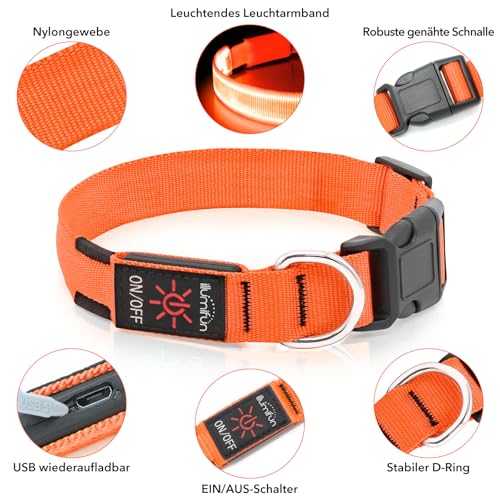 Illumifun LED Leuchthalsband für Hunde - USB-wiederaufladbar Leuchthalsband Hund, Wasserdicht & Größenverstellbar für Mittel Hunde (Orange, M)