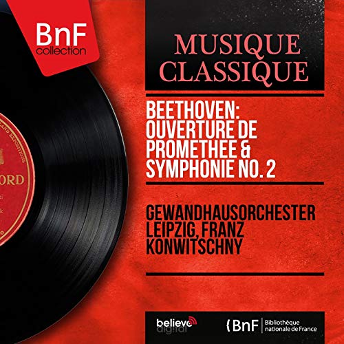  Symphonie No. 2 in D Major, Op. 36: II. Larghetto