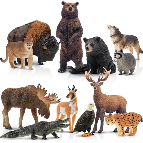 TOYMANY 12 Stück Tiere-Figuren Set Wald Spielfiguren Spielzeug,Nordamerikanische Waldtierfiguren Enthält Waschbär,Luchs,Wolf,Bär,Adler,Plastiktiere Zoo Dschungel Wild Tierfiguren für Kinder