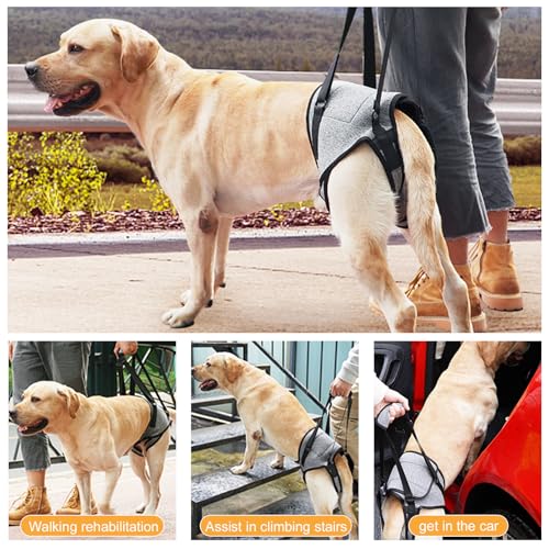 Tragehilfe Hund -Tragbares Hundegeschirr für die Hinterbeine,Verstellbares Hunde Aufzugsgeschirr, Hunde Tragegeschirr für ältere, behinderte & jene mit Mobilitätsproblemen-Grau (L)