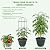 Garden Obelisk Trellis for Climbing Plants 5.7/4.5FT Heavy Duty Metal & Rustproof Plant Climbing Support for Garden Indoor Outdoor Potted Plant Flowers Fruits Vegetable Vines (4.5FT / 1Pack)