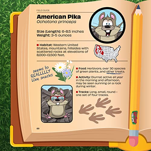 Grape Kool-Aid Popping Rock Candy | 4 Pack Of Grape Kool-Aid Rock Candy — Classic Kool-Aid Take On A Fun Novelty Candy | Includes 4 Individual Pouches Of Grape Flavored Candy Rocks (0.33Oz Each) #TOP4