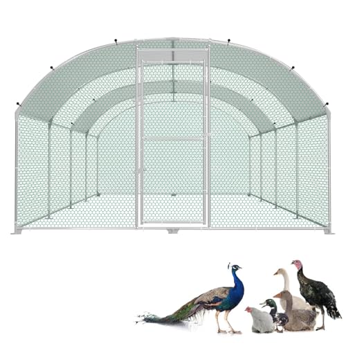 LZQ Enclos pour poulailler, 3 x 8 m, en métal galvanisé, avec toit, résistant à l'hiver et aux intempéries, pour lapins, canards, extérieur, pour petits animaux