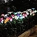 Doingart Outdoor Solar Garden Lights, 2 Pack Solar Powered Lights with Lily Flower, Hummingbird and Butterfly, Multi-Color Changing LED Solar Decorative Lights for Garden, Patio, Backyard
