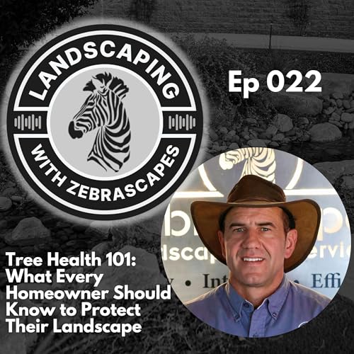 Tree Health 101: What Every Homeowner Should Know to Protect Their Landscape | 022