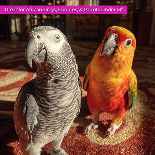 Tropical Carnival Brown’s Gourmet Small Hookbill Food & Fruit & Nut Parrot Treat Bundle – Vitamin-Fortified Daily Diet & Reward Mix for Parrots, Conures & Small Hookbills – 10 lb + 12 oz image 8