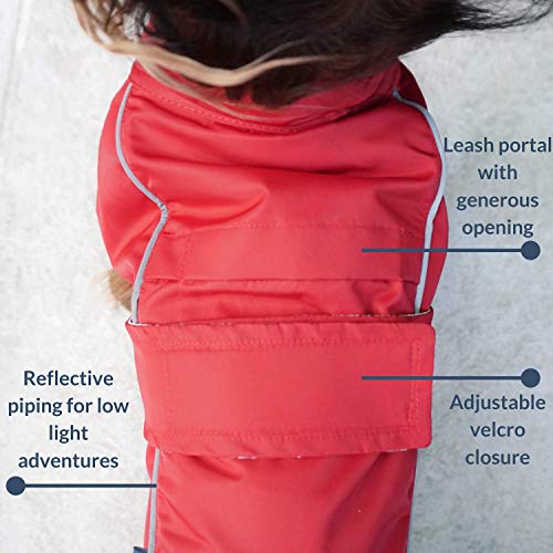 5 Best Waterproof Dog Coats with Chest & Belly Protection [Top Picks]