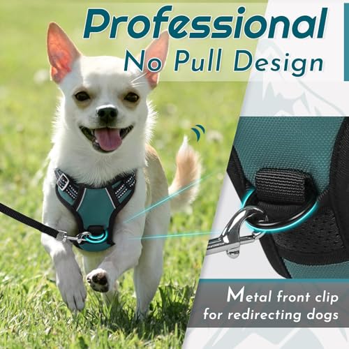 Image of Eagloo Dog Harness for Small Dogs, No Pull Pet Vest with 2 Leash Clips
