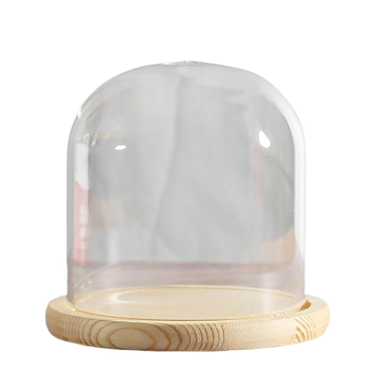 Cloche en verre dôme transparent et socle bois massif diamètre 20cm