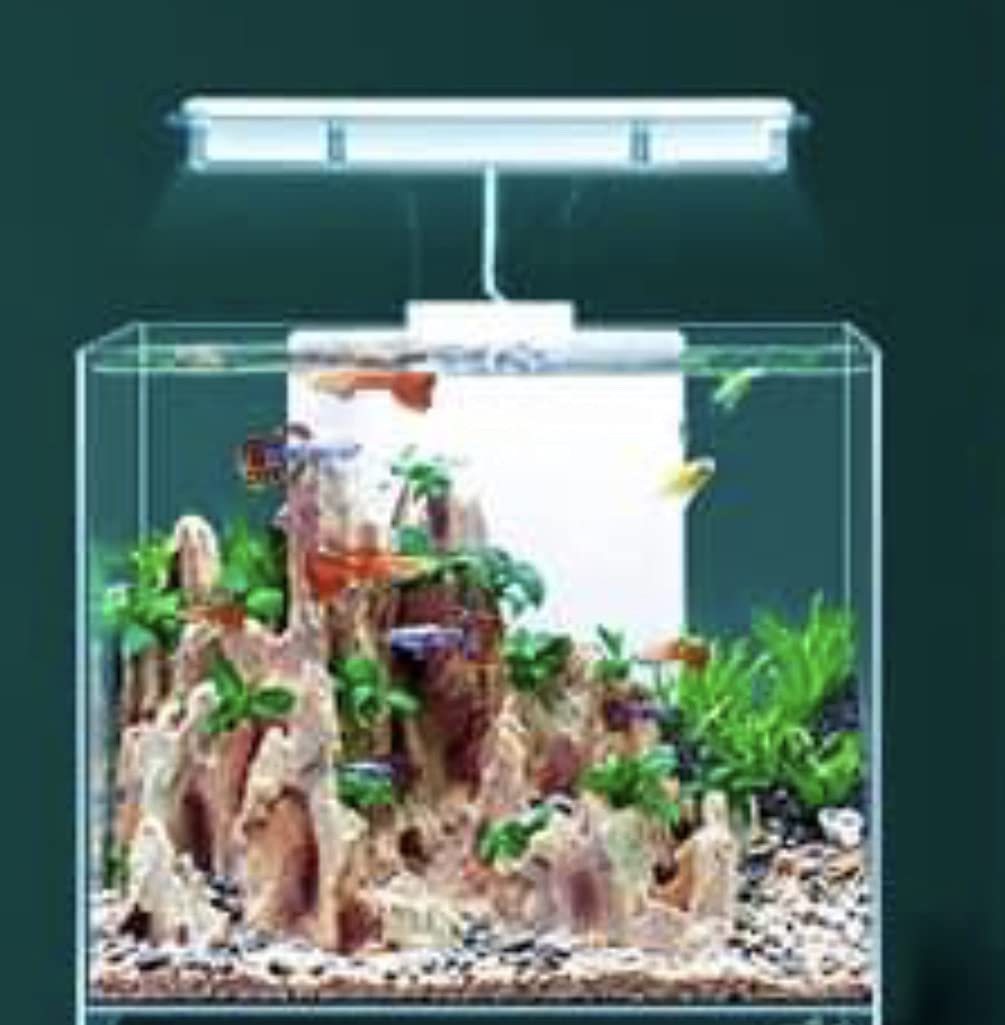 Acuarionano, Acuario Nano Cubic 26 litros Kubik 30 con Filtro y luz