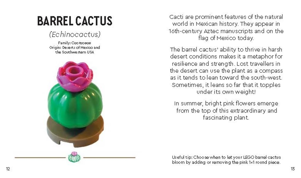 LEGO® Botanicals™: Tiny Desert Garden