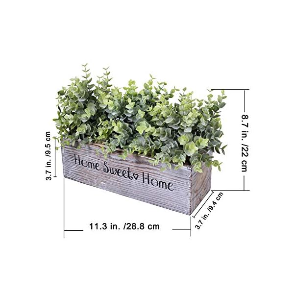   urban country home decor