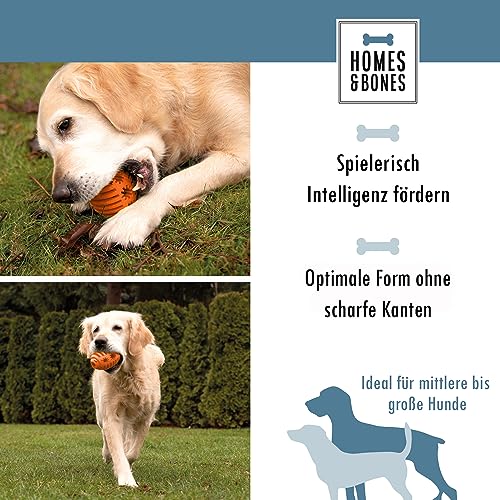Homes&Bones Doggy Egg Hundespielzeug befüllbar aus Naturkautschuk zur Hundebeschäftigung als Futterball & Intelligenzspielzeug für mittlere bis große Hunde orange