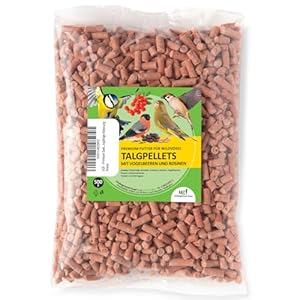 UGF – Premium Vetkorrels met meelwormen – 500g, lijsterbessen en rozijnen, vogelvoer voor wilde vogels het hele jaar door, talkkorrels voor wilde vogels