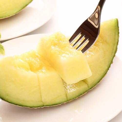 TOBIFRU ÉY }XN 1ʓ }XN   ăMtg  c t[c lߍ킹 ʕ t[cMtg yY 蕨 v[g  oY j j oYj   j a