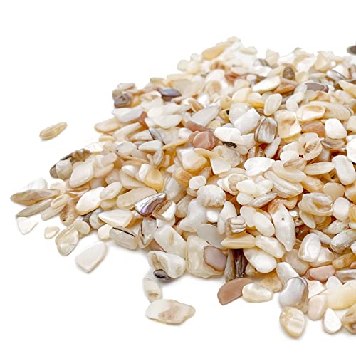LYFJXX Crushed Shells for Crafts, Sea Shells for Kids DIY Art, Vase Fillers Table Scatter, Party Favor, Wedding Decoration, Succulents Plants Soil Cover, Art Crafts (Beige) - Thumbnail 2