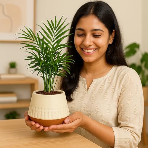 Image of Urban Plant Terracotta Pot - Trendy Planter for Modern Home & Garden Spaces (Majesty Terracotta Pot)
