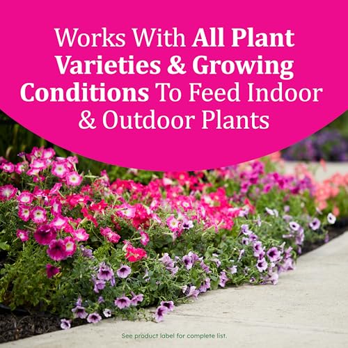 Osmocote Smart-Release Plant Food Plus Outdoor & Indoor1 - Granular, Continuous Release Plant Fertilizer with 11 Essential Nutrients, 1 lb. - Image 4