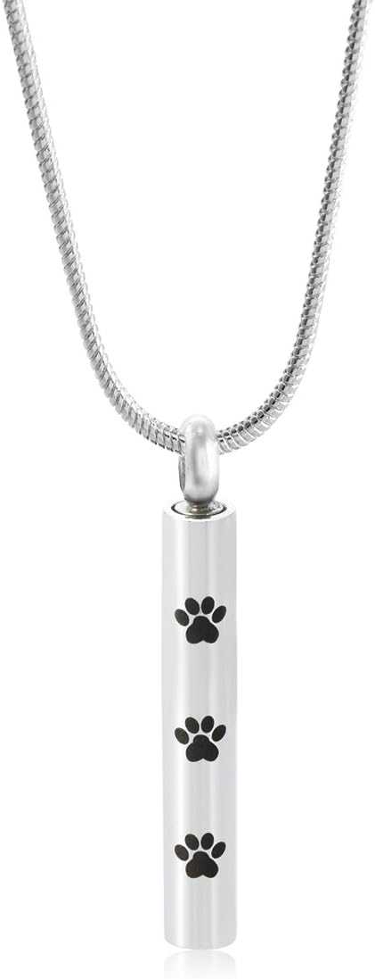 FASJOYCremation Cylinder Jewelry Pet Paw Ash urn Necklace Stainless Steel Keepsake Memorial Pendant