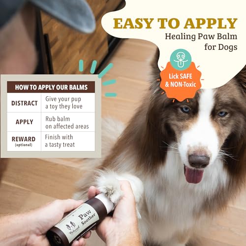 Image of Natural Dog Company Paw Soother Dog Paw Balm, 2 oz Stick | Moisturizes Dry Cracked Paws, Coconut Oil & Calendula, For Walks, Hot Pavement, Beach, Hiking, Daily Paw Care