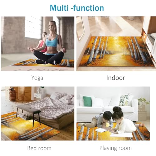 Paillasson extérieur antidérapant 40x60 cm tapis lavable