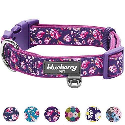 Blueberry Pet 5 Patterns Soft & Comfy Rose Print Plum Purple Padded Adjustable Dog Collar, Medium, Neck 14.5"-20" #TOP6