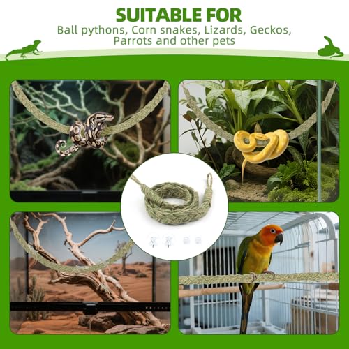 Snake Climbing Rope,Snakes Ladders Toys, Snake Enrichment Supplies, Small Reptile Tank Accessories, Reptile Climbing Toys for Ball Python Corn Hermit Crab Lizards Geckos (Green)