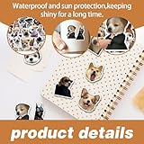 Zoom IMG-2 juguta 50 adesivi divertenti simpatici